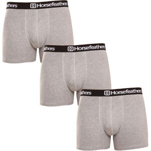 3PACK boxeri bărbați Horsefeathers Dynasty gri (AM067C) M 3PACK boxeri bărbați Horsefeathers Dynasty gri (AM067C) M