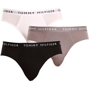 3PACK slipuri bărbați Tommy Hilfiger multicolore (UM0UM02206 0TG) L 3PACK slipuri bărbați Tommy Hilfiger multicolore (UM0UM02206 0TG) L