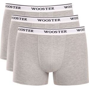 3PACK boxeri bărbați Wooster gri (W-632) XL 3PACK boxeri bărbați Wooster gri (W-632) XL