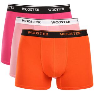 3PACK boxeri bărbați Wooster multicolori (W-600) L 3PACK boxeri bărbați Wooster multicolori (W-600) L