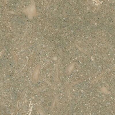 PIATRAONLINE Limestone Oliva Mata, 61 x 30.5 x 1.2 cm PIATRAONLINE Limestone Oliva Mata, 61 x 30.5 x 1.2 cm