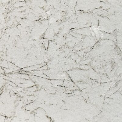 PIATRAONLINE Marmura Flexibila SKIN - Alaska White, 122 x 61 cm Piatra pt Pereti, Mobilier, Fatade si Spatii Umede PIATRAONLINE Marmura Flexibila SKIN - Alaska White, 122 x 61 cm Piatra pt Pereti, Mobilier, Fatade si Spatii Umede