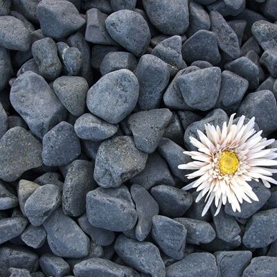PIATRAONLINE Pebbles Dark Grey, 1-3 cm Sac 20 kg PIATRAONLINE Pebbles Dark Grey, 1-3 cm Sac 20 kg