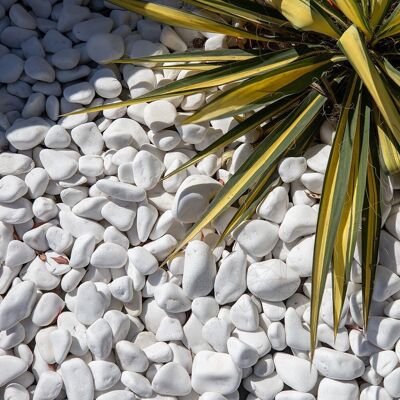 PIATRAONLINE Pebbles Marmura Alba Thassos, 1-3 cm PIATRAONLINE Pebbles Marmura Alba Thassos, 1-3 cm