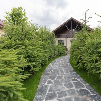 PIATRAONLINE Ardezie Poligonala Verde Laguna - Piatra Naturala pt. Interior / Exterior Fatade, Pavaje si Alei PIATRAONLINE Ardezie Poligonala Verde Laguna - Piatra Naturala pt. Interior / Exterior Fatade, Pavaje si Alei