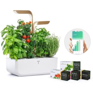 Véritable CONNECT - alb/champagne + 4 rezerve de plante - Ghiveci de flori automat Véritable CONNECT - alb/champagne + 4 rezerve de plante - Ghiveci de flori automat