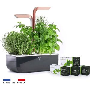 Véritable SMART cu control al luminii - negru + 4 rezerve de plante - Ghiveci de flori automat Véritable SMART cu control al luminii - negru + 4 rezerve de plante - Ghiveci de flori automat