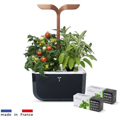 Véritable Exky SMART - negru + 2 rezerve de plante - Ghiveci de flori automat Véritable Exky SMART - negru + 2 rezerve de plante - Ghiveci de flori automat