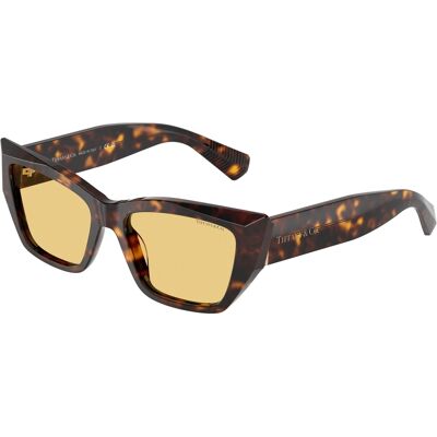 Ochelari de soare în formă de fluture Tiffany TF4230 8015/7 - Ochelari de soare Ochelari de soare în formă de fluture Tiffany TF4230 8015/7 - Ochelari de soare