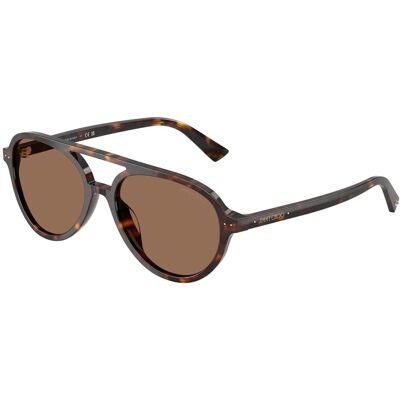 Jimmy Choo ochelari de soare JC5055U 500273 Jimmy Choo ochelari de soare JC5055U 500273