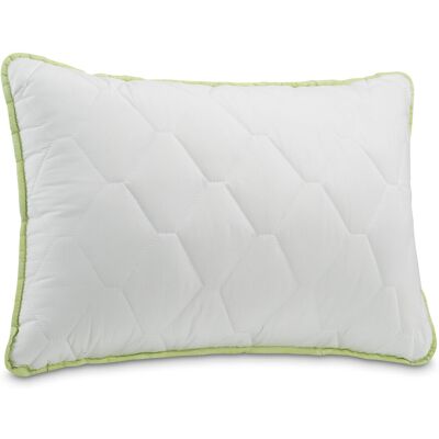 Dormeo perna Clasica Aloe Vera II 50x70 cm Dormeo perna Clasica Aloe Vera II 50x70 cm