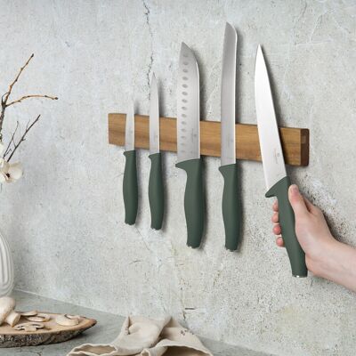 Set 5 cutite cu suport magnetic Berlinger Haus, Matte Green, inox/lemn, verde mat/natur Set 5 cutite cu suport magnetic Berlinger Haus, Matte Green, inox/lemn, verde mat/natur