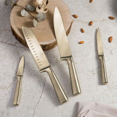 Set 4 cutite Berlinger Haus, Sahara/Leonardo, inox, auriu Set 4 cutite Berlinger Haus, Sahara/Leonardo, inox, auriu