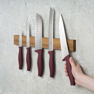 Set 5 cutite cu suport magnetic Berlinger Haus, Leonardo, inox/lemn, visiniu mat/natur Set 5 cutite cu suport magnetic Berlinger Haus, Leonardo, inox/lemn, visiniu mat/natur