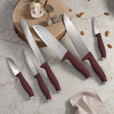 Set 6 cutite Berlinger Haus, Leonardo, inox, visiniu mat Set 6 cutite Berlinger Haus, Leonardo, inox, visiniu mat