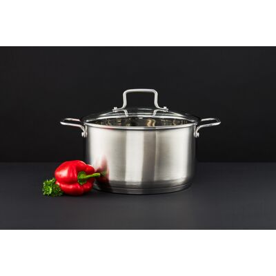 Oala cu capac Hugo, Ambition, 22 cm, 3.5 L, inox AISI 304/sticla, argintiu Oala cu capac Hugo, Ambition, 22 cm, 3.5 L, inox AISI 304/sticla, argintiu