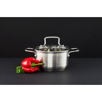 Oala cu capac Hugo, Ambition, 18 cm, 2 L, inox AISI 304/sticla, argintiu Oala cu capac Hugo, Ambition, 18 cm, 2 L, inox AISI 304/sticla, argintiu