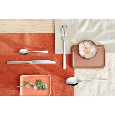 Set tacamuri 60 piese, Moderno, Amefa, 6 persoane, inox 18/10, argintiu Set tacamuri 60 piese, Moderno, Amefa, 6 persoane, inox 18/10, argintiu