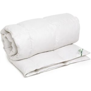 Pilota Sleep by Green Future 140x200 cm - Puf de gasca 40%, pana mica de gasca 60% Pilota Sleep by Green Future 140x200 cm - Puf de gasca 40%, pana mica de gasca 60%