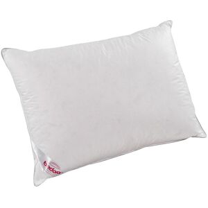 Bedora Perna X-TREME Confort Feeling 50x70 cm Bedora Perna X-TREME Confort Feeling 50x70 cm