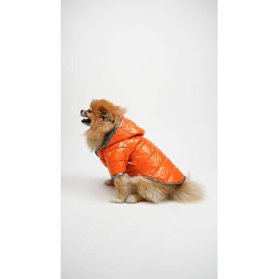 Hanorac pentru câini, Paws & Whiskers, Moncler Coat, Portocaliu Hanorac pentru câini, Paws & Whiskers, Moncler Coat, Portocaliu