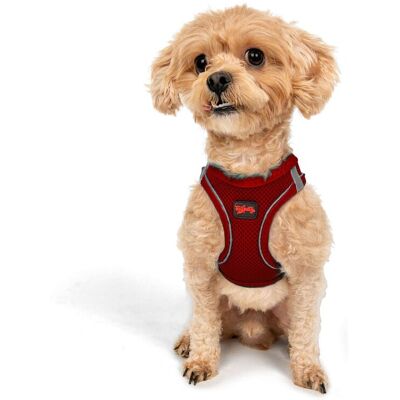 Ham pentru câini, Paws & Whiskers, Air-Mesh, Rosu Ham pentru câini, Paws & Whiskers, Air-Mesh, Rosu