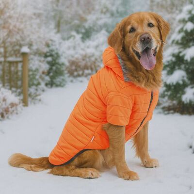Hanorac pentru câini, Paws & Whiskers, Orangecoat, Portocaliu Hanorac pentru câini, Paws & Whiskers, Orangecoat, Portocaliu
