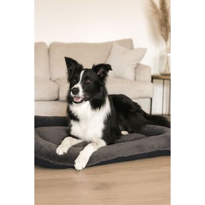 Pat pentru animale de companie, Paws & Whiskers, Sally Dog 55 x 75, Material exterior: 100% poliester, Antracit Pat pentru animale de companie, Paws & Whiskers, Sally Dog 55 x 75, Material exterior: 100% poliester, Antracit