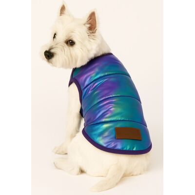 Hanorac pentru câini, Paws & Whiskers, Metalicpurplejacket, Multicolor Hanorac pentru câini, Paws & Whiskers, Metalicpurplejacket, Multicolor