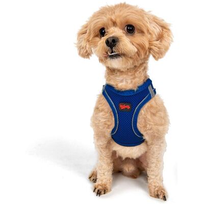 Ham pentru câini, Paws & Whiskers, Air-Mesh, Poliester, Albastru Ham pentru câini, Paws & Whiskers, Air-Mesh, Poliester, Albastru