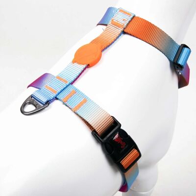 Ham pentru câini, Paws & Whiskers, Pass, Poliester, Multicolor Ham pentru câini, Paws & Whiskers, Pass, Poliester, Multicolor