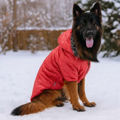 Hanorac pentru câini, Paws & Whiskers, Redcoat, Rosu Hanorac pentru câini, Paws & Whiskers, Redcoat, Rosu