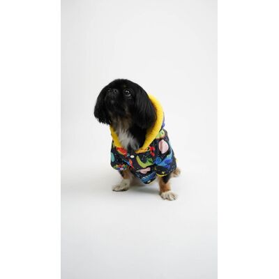 Hanorac pentru câini, Paws & Whiskers, Cosmic Raincoat, Multicolor Hanorac pentru câini, Paws & Whiskers, Cosmic Raincoat, Multicolor