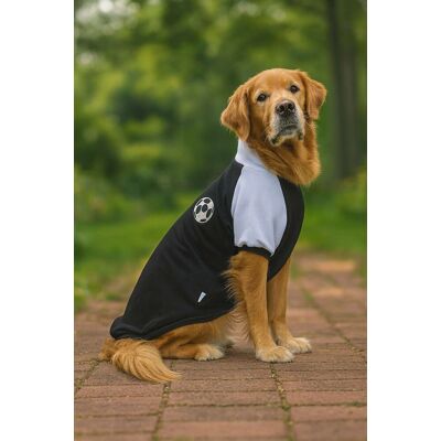 Hanorac pentru câini, Paws & Whiskers, Blackballsweat, Negru Hanorac pentru câini, Paws & Whiskers, Blackballsweat, Negru