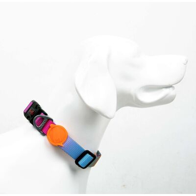 Zgarda pentru câini, Paws & Whiskers, Pass, Poliester, Multicolor Zgarda pentru câini, Paws & Whiskers, Pass, Poliester, Multicolor