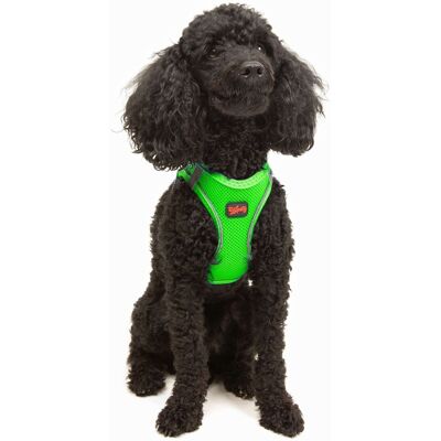 Ham pentru câini, Paws & Whiskers, Air-Mesh, Poliester, Neo Verde Ham pentru câini, Paws & Whiskers, Air-Mesh, Poliester, Neo Verde