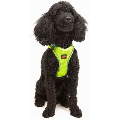 Ham pentru câini, Paws & Whiskers, Air-Mesh, Poliester, Neo Lime Ham pentru câini, Paws & Whiskers, Air-Mesh, Poliester, Neo Lime