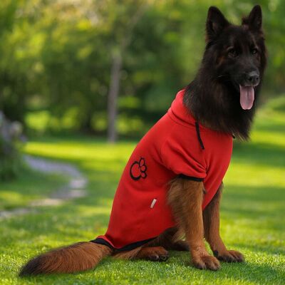 Hanorac pentru câini, Paws & Whiskers, Kırmızıpatisweat, Rosu Hanorac pentru câini, Paws & Whiskers, Kırmızıpatisweat, Rosu