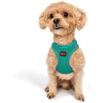Ham pentru câini, Paws & Whiskers, Air-Mesh, Poliester, Smarald Ham pentru câini, Paws & Whiskers, Air-Mesh, Poliester, Smarald