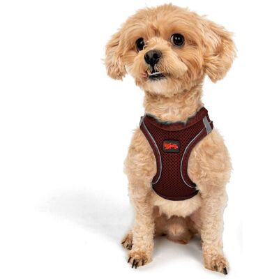 Ham pentru câini, Paws & Whiskers, Air-Mesh, Poliester, Rosu claret Ham pentru câini, Paws & Whiskers, Air-Mesh, Poliester, Rosu claret
