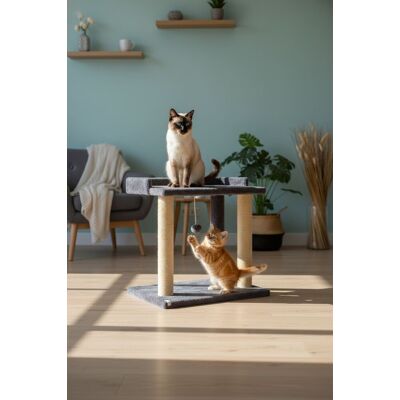 Pat pentru pisici, Paws & Whiskers, Liza, Tesatura Welsoft, Antracit Pat pentru pisici, Paws & Whiskers, Liza, Tesatura Welsoft, Antracit