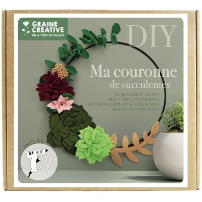 Set Cadou Ghirlandă cu Suculente Multicolore - Set Cadou Set Cadou Ghirlandă cu Suculente Multicolore - Set Cadou