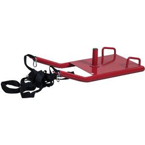 SBI Fitness Power sled