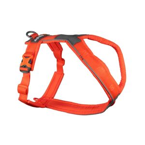 Non-Stop Dogwear Line Harness 5.0, Orange, 6  6