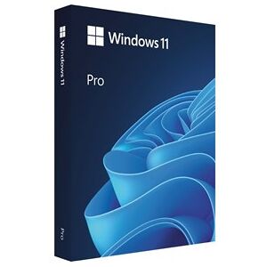 Microsoft Windows 11 PRO