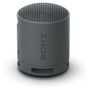 Sony SRSXB100 - Black