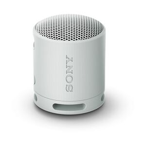 Sony SRSXB100 - Grey