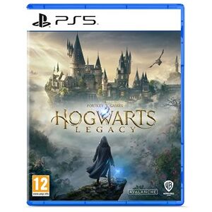 PS5 Hogwarts Legacy