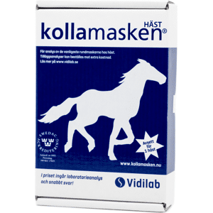 Vidilab Kollamasken häst