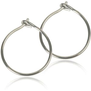 Blomdahl örhängen Blomdahl NT Safety Ear Ring 12 mm 1 par